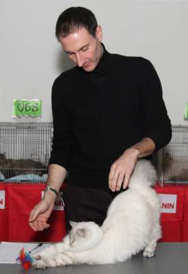 �������� ����� '������� ���-�����' 30 ������-1 ������� 2013., ������������ ��� 3645